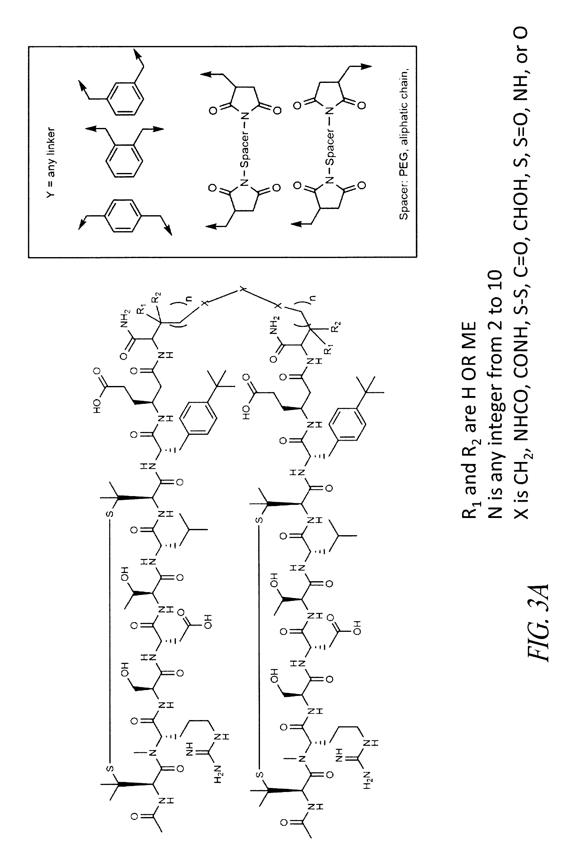A4B7 peptide monomer and dimer antagonists