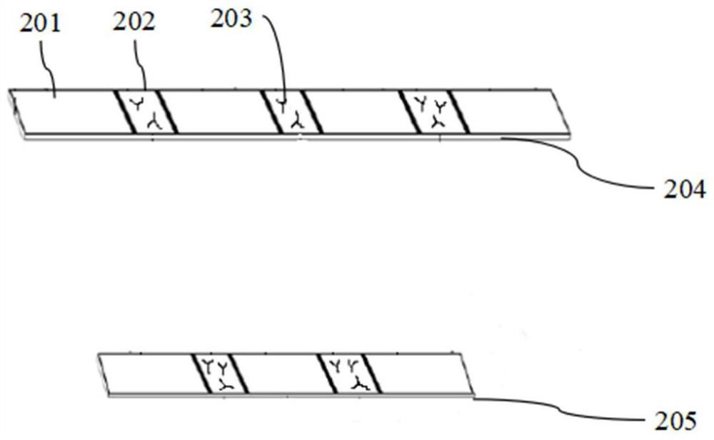 Immunoassay device for in vitro immediate determination of human ABO and/or Rh blood types