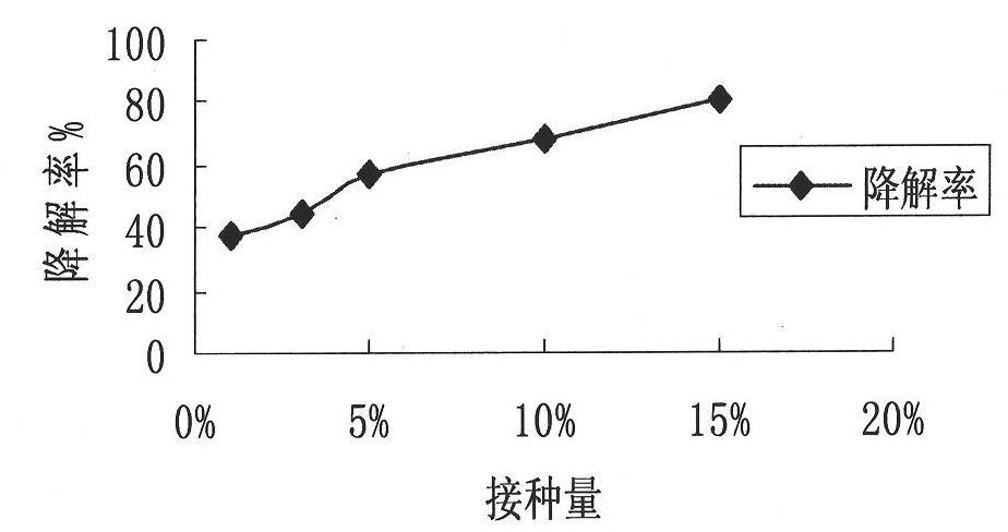 Bromoxynil octanoate degrading bacteria and bacterial agent prepared from same