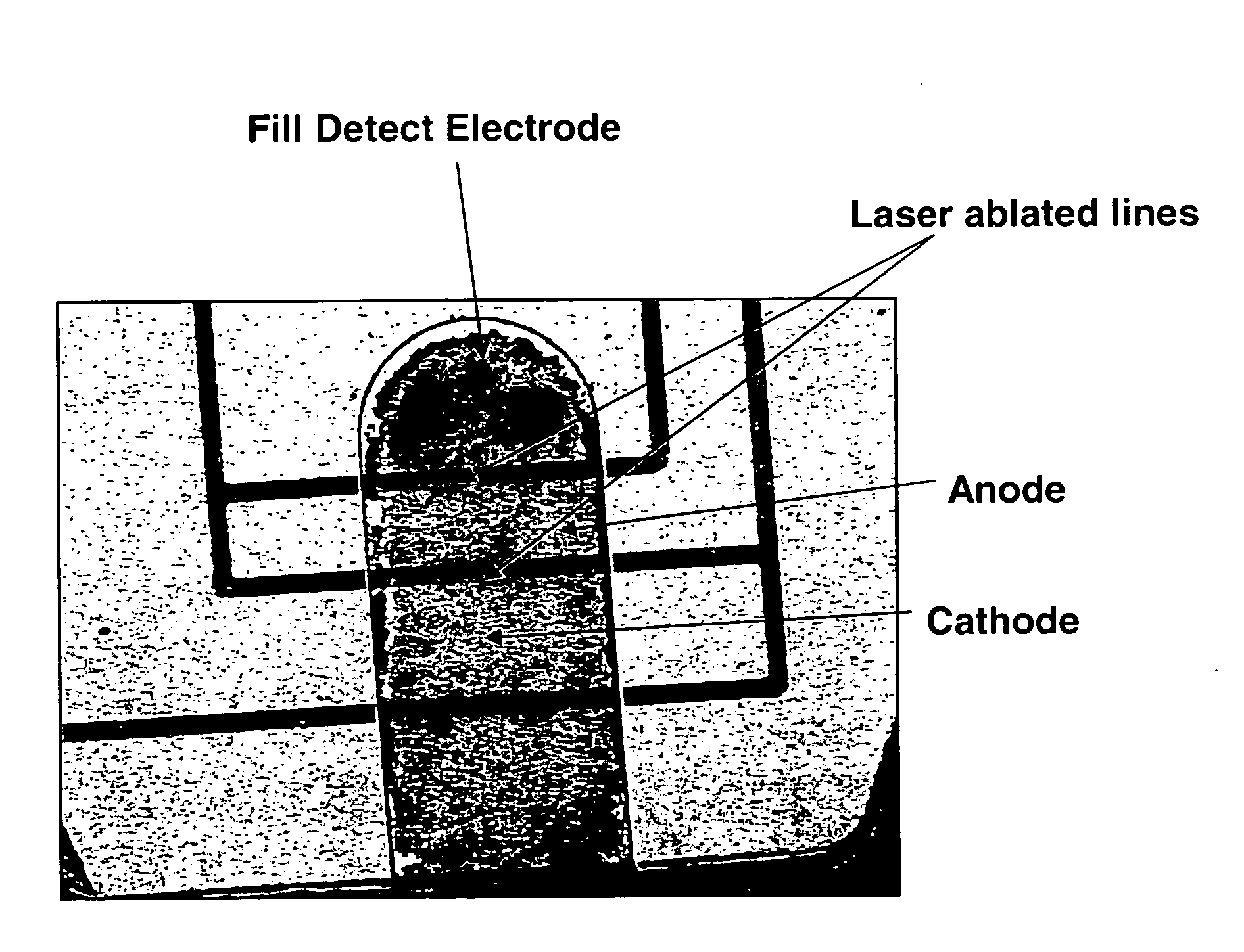 Biosensors comprising heat sealable spacer materials
