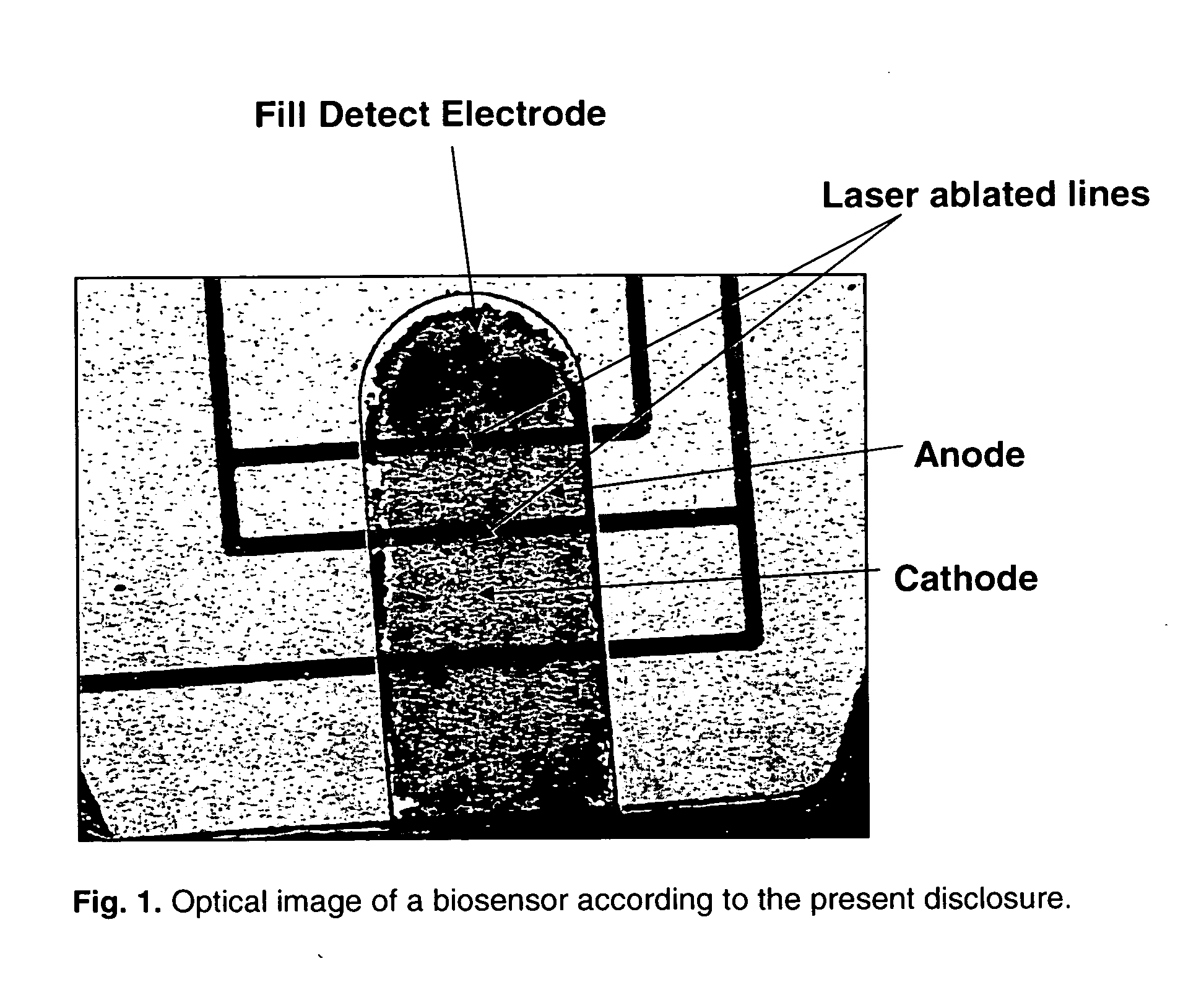 Biosensors comprising heat sealable spacer materials