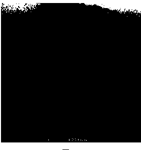 Preparation method of ultra-thin metal nanosheets