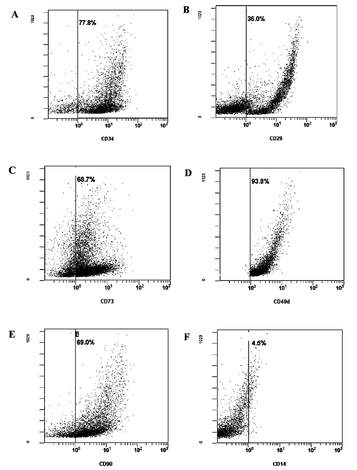 Application of interstitial vascular cell and mesenchymal progenitor cell in prevention or treatment of rheumatoid arthritis