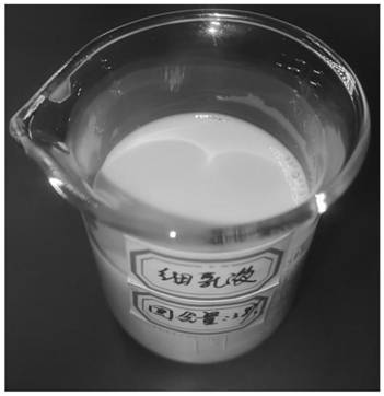 Denitration ceramic fiber filter tube and preparation method thereof