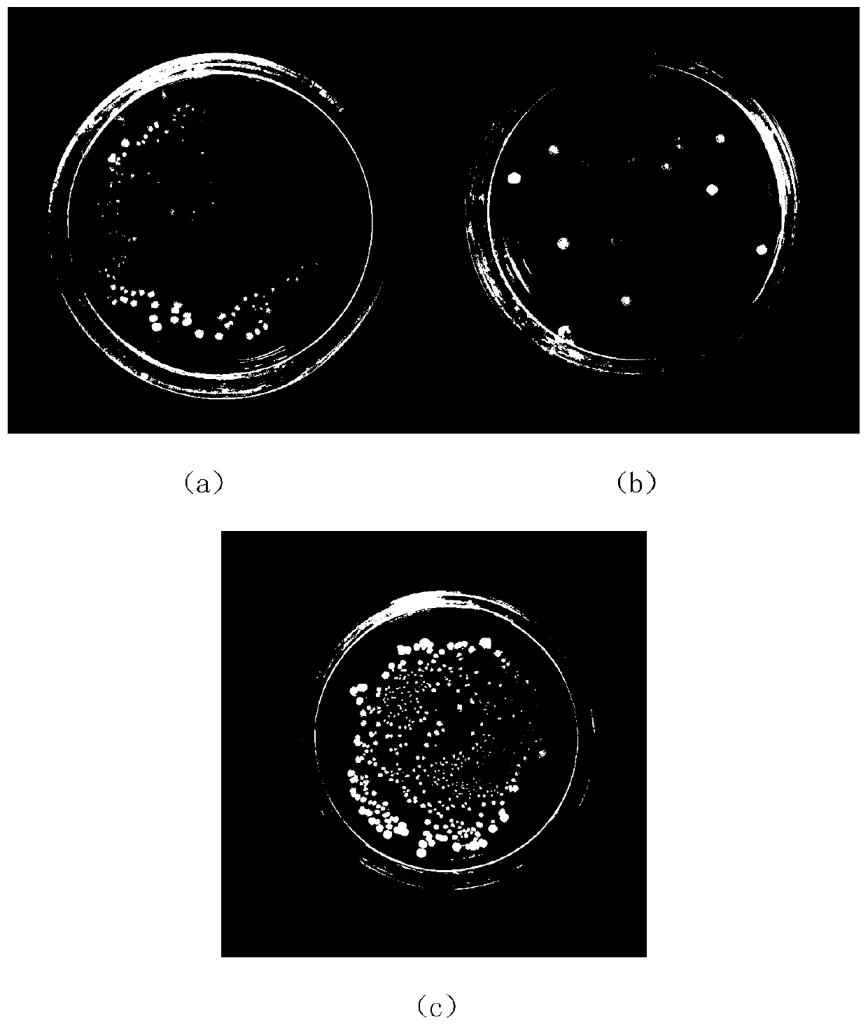 An antibacterial stainless steel for electrical equipment