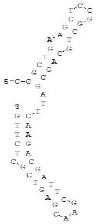 Moncrotophos nucleic acid aptamer, aptamer derivative and application thereof