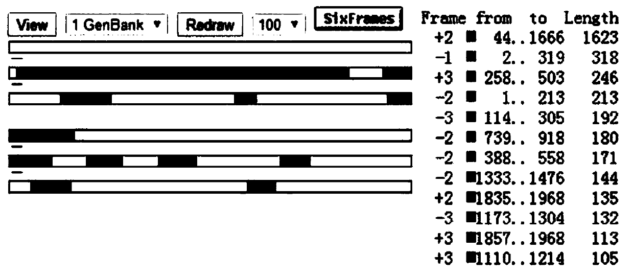 Sugarcane monosaccharide transport protein ShHXT2 gene and application thereof