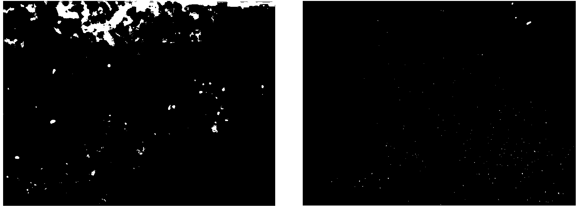 Method for germinating germs of peony seeds