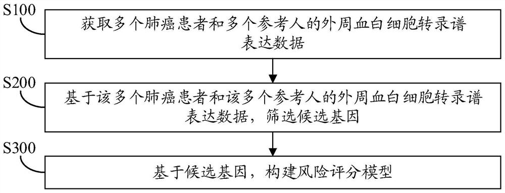 Construction method and application method of lung cancer prognosis model and electronic equipment