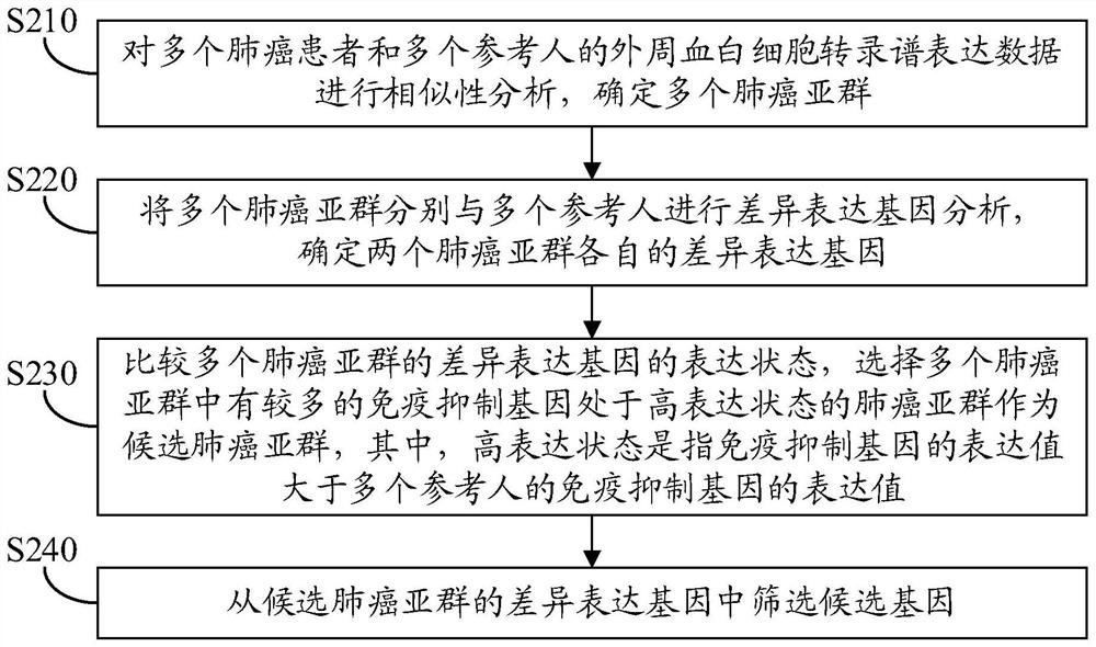 Construction method and application method of lung cancer prognosis model and electronic equipment