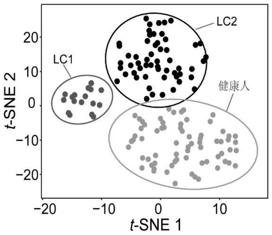 Construction method and application method of lung cancer prognosis model and electronic equipment