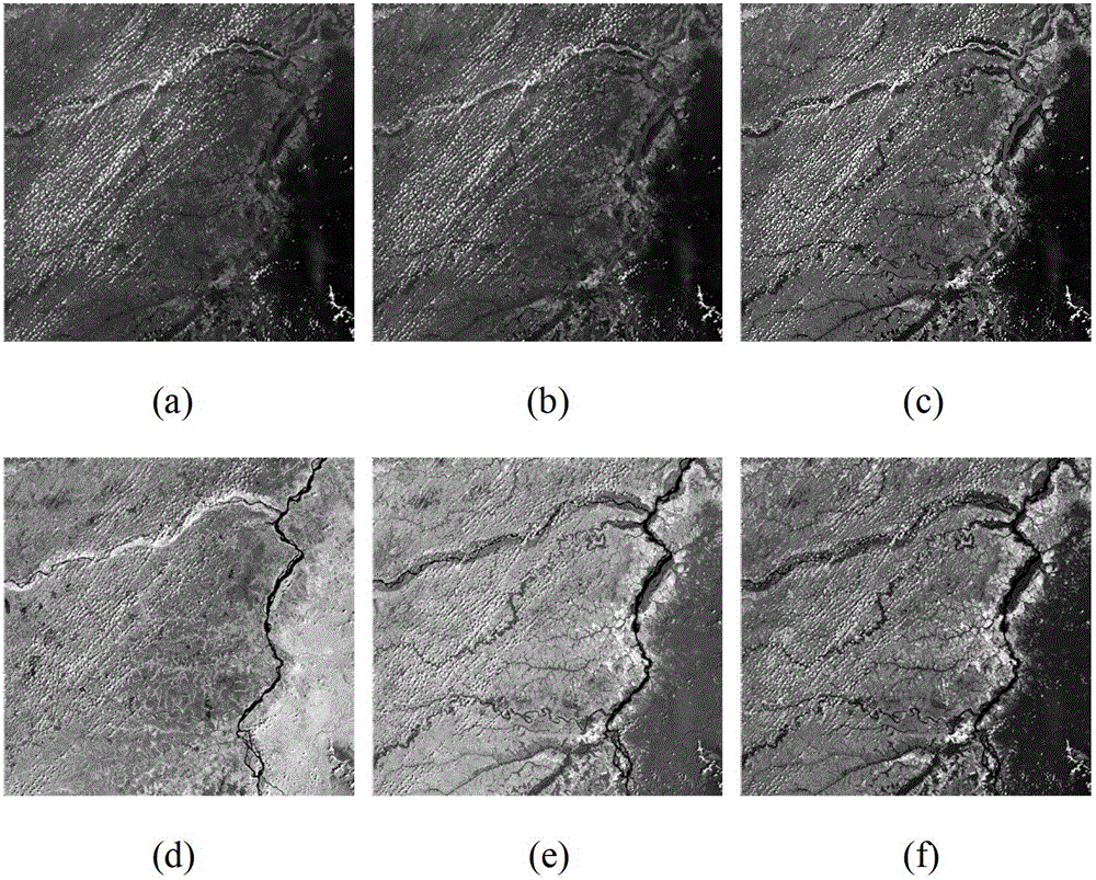 Method for detecting spissatus and spissatus shadow based on Landsat thematic mapper (TM) images and Landsat enhanced thematic mapper (ETM) images