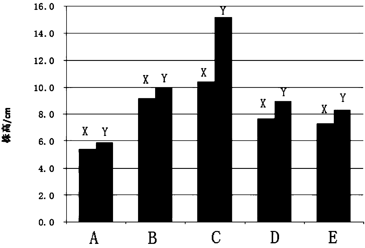 Improving method for rapidly improving soil organic matter in saline-alkaline land paddy field