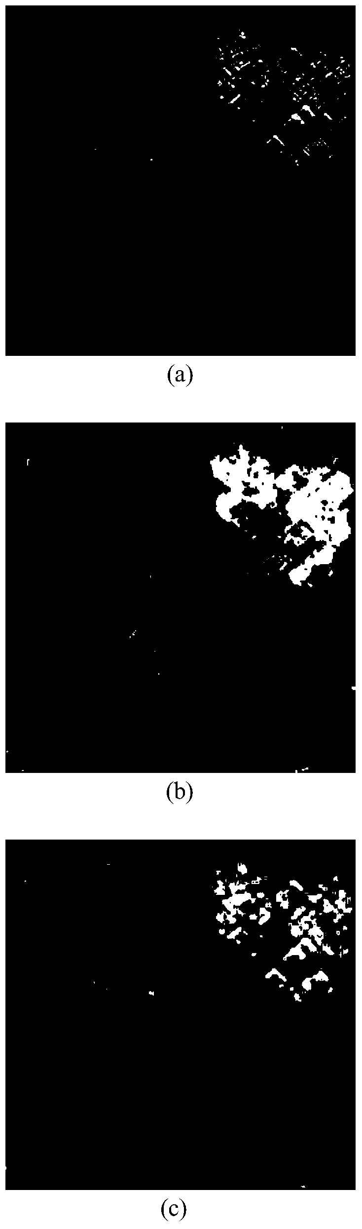 SAR image classification method based on shrinkage autoencoder