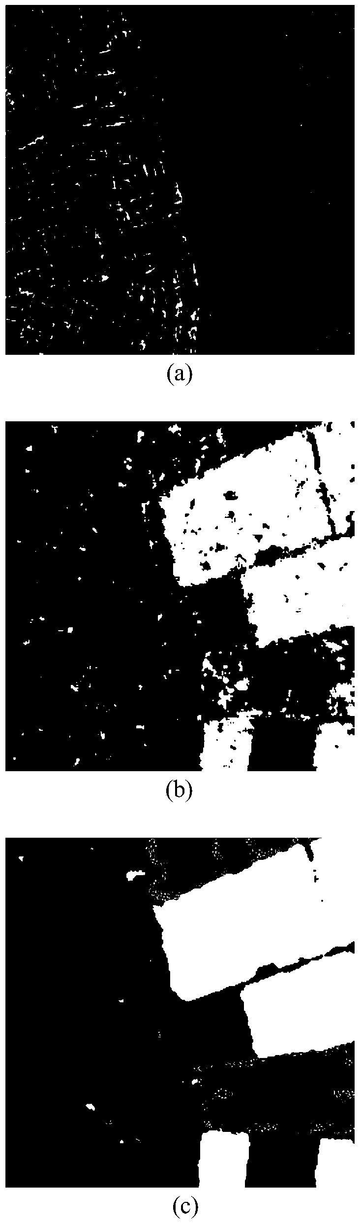 SAR image classification method based on shrinkage autoencoder