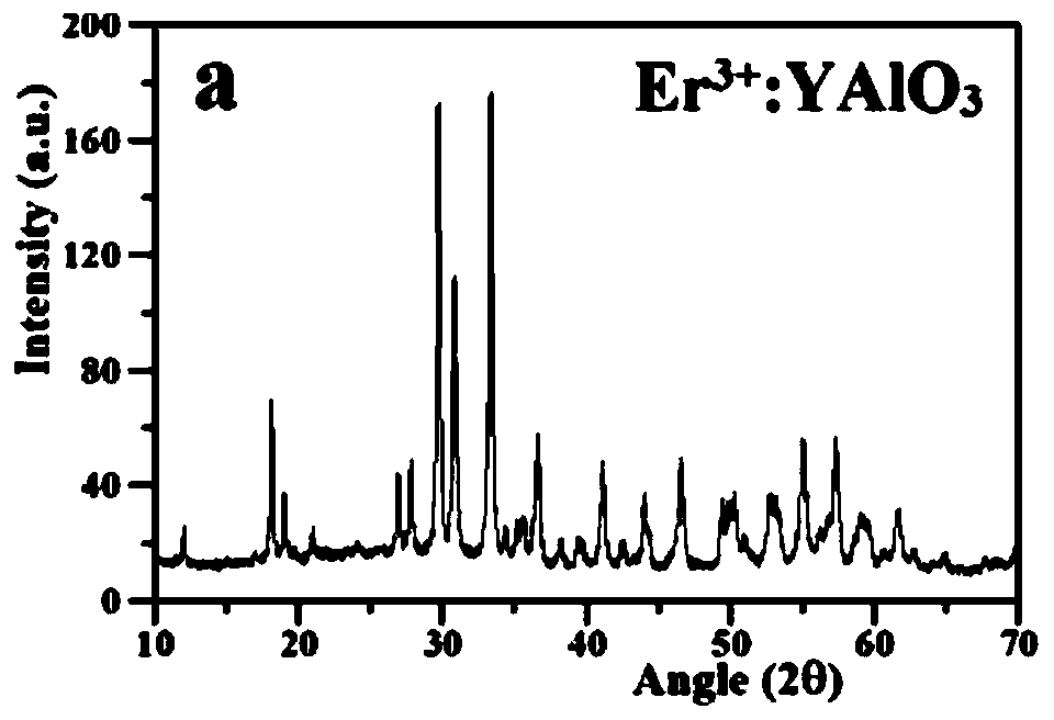 Visible light photocatalyst of a kind of novel z type structure and its preparation method and application