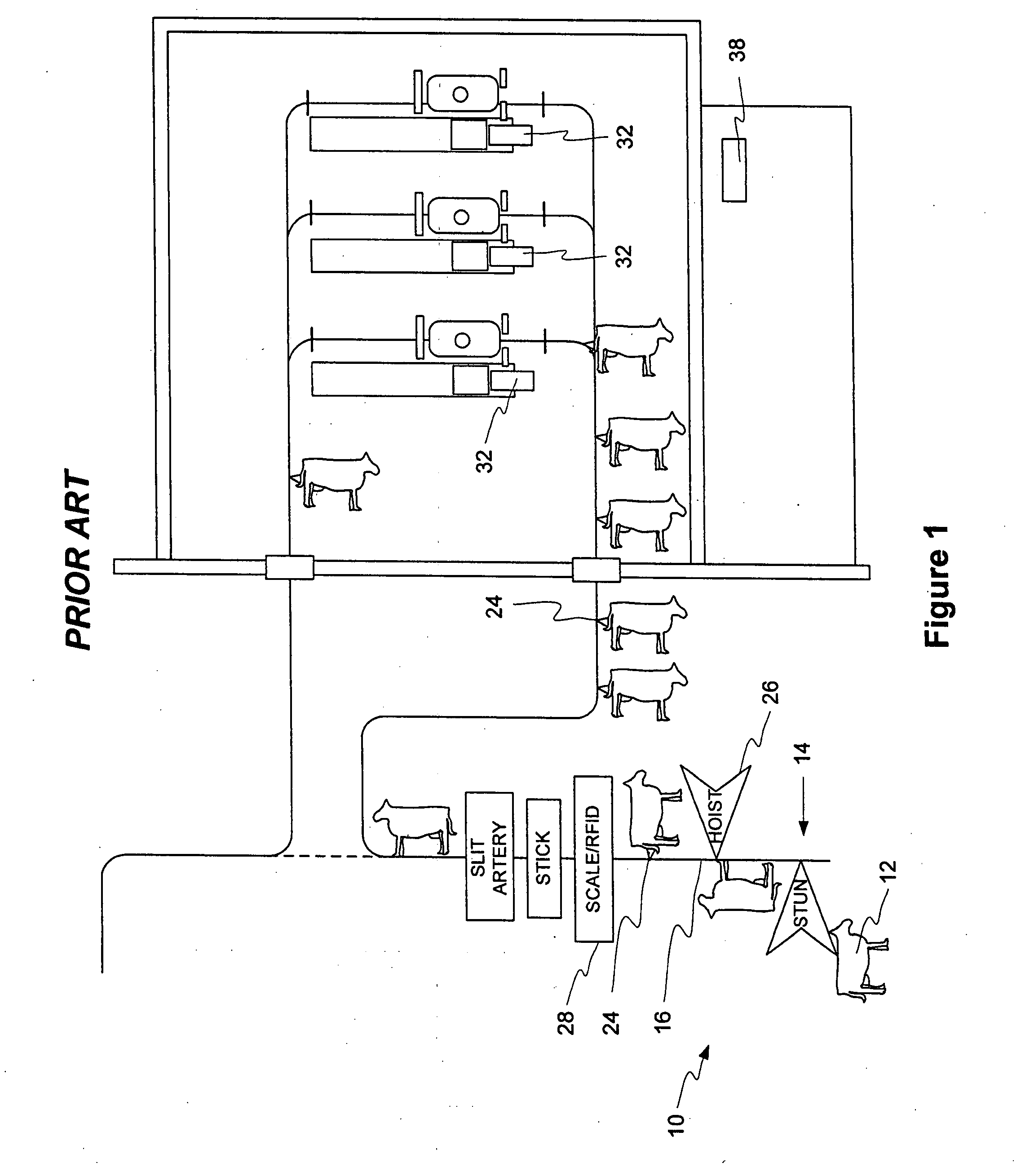 Method and apparatus for processing animals