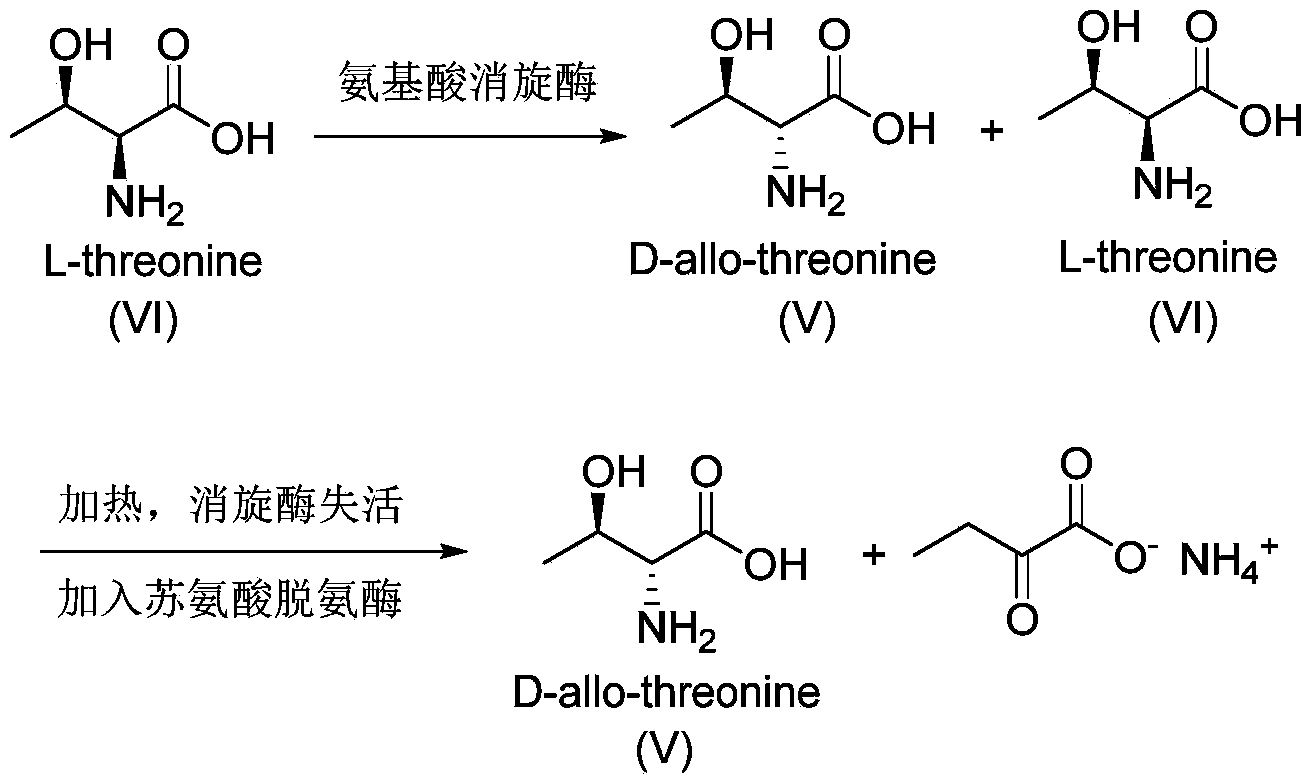 Synthesis method of D-threonine