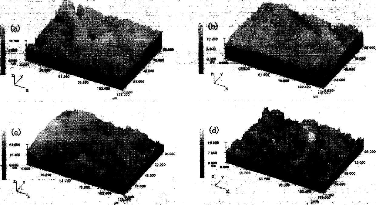 Method for testing and evaluating dynamic morphology features of material during corrosion process