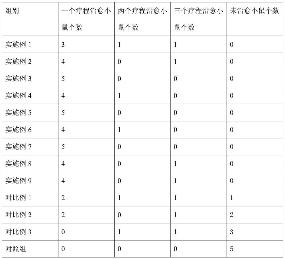 A kind of traditional Chinese medicine composition for treating wound infection and preparation method thereof