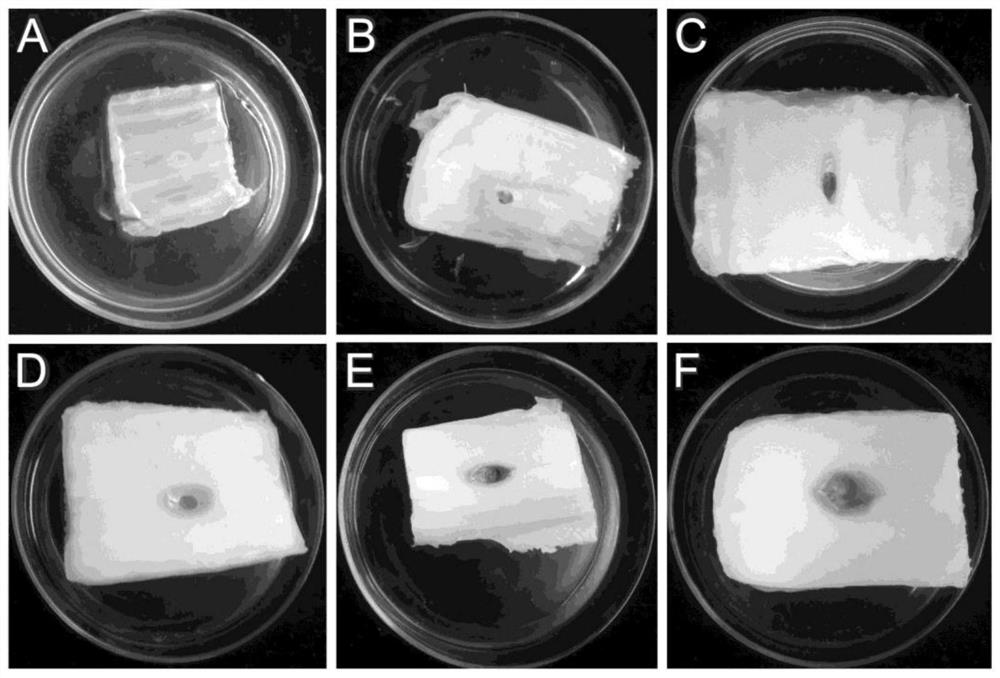 A botanical fungicide against cabbage soft rot