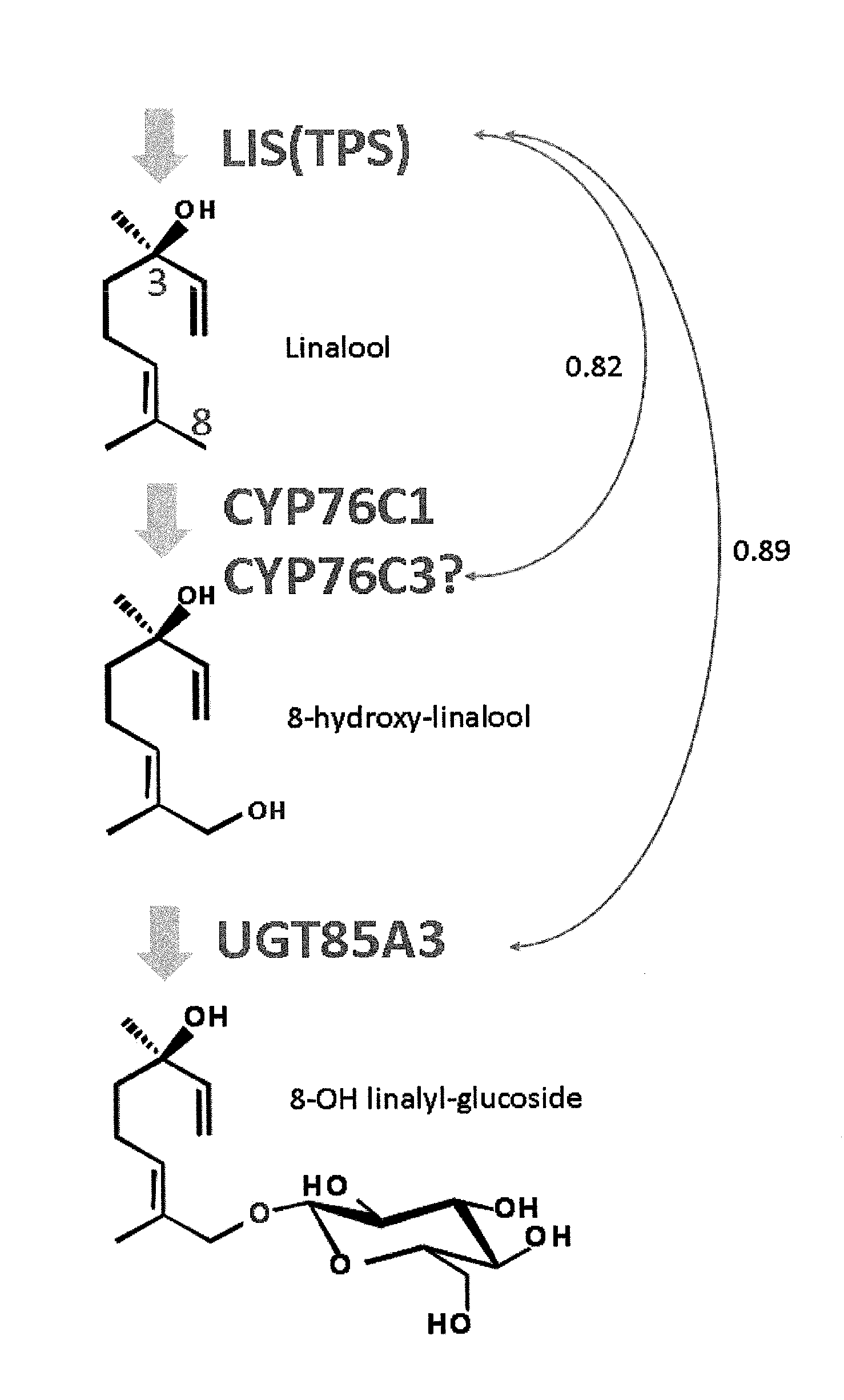 Method for utilizing monoterpene glycosyltransferase