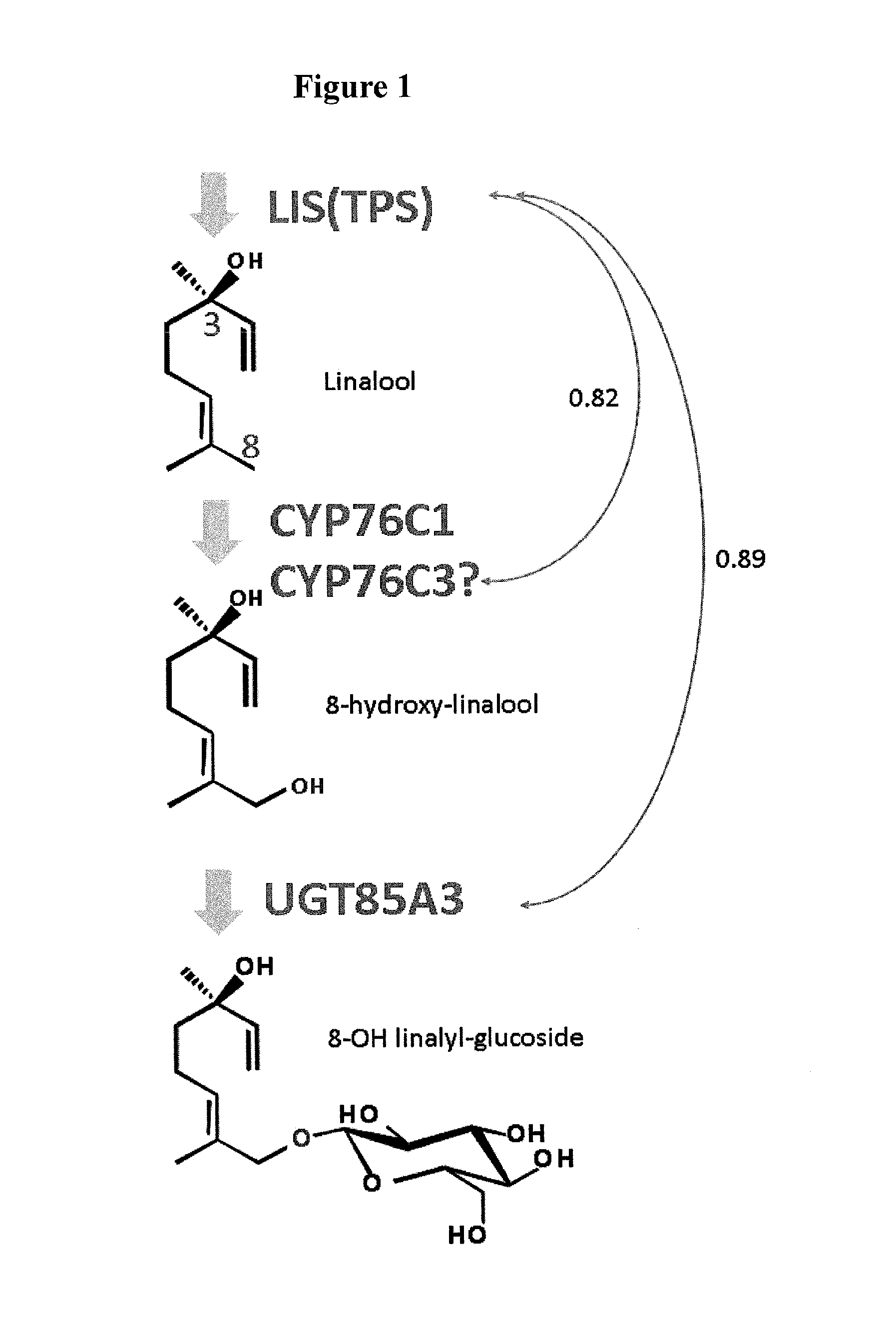 Method for utilizing monoterpene glycosyltransferase