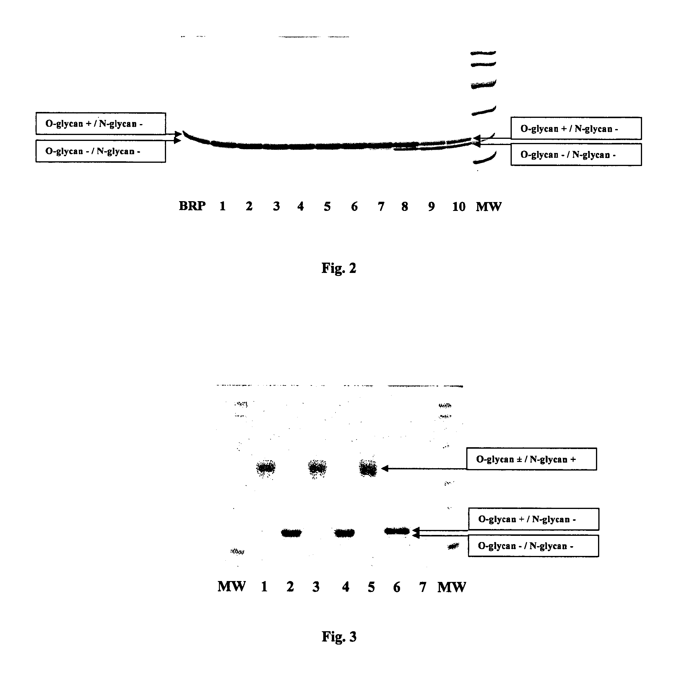 Process for the purification of recombinant human erythropoietin (EPO), epo thus purified and pharmaceutical compositions comprising same