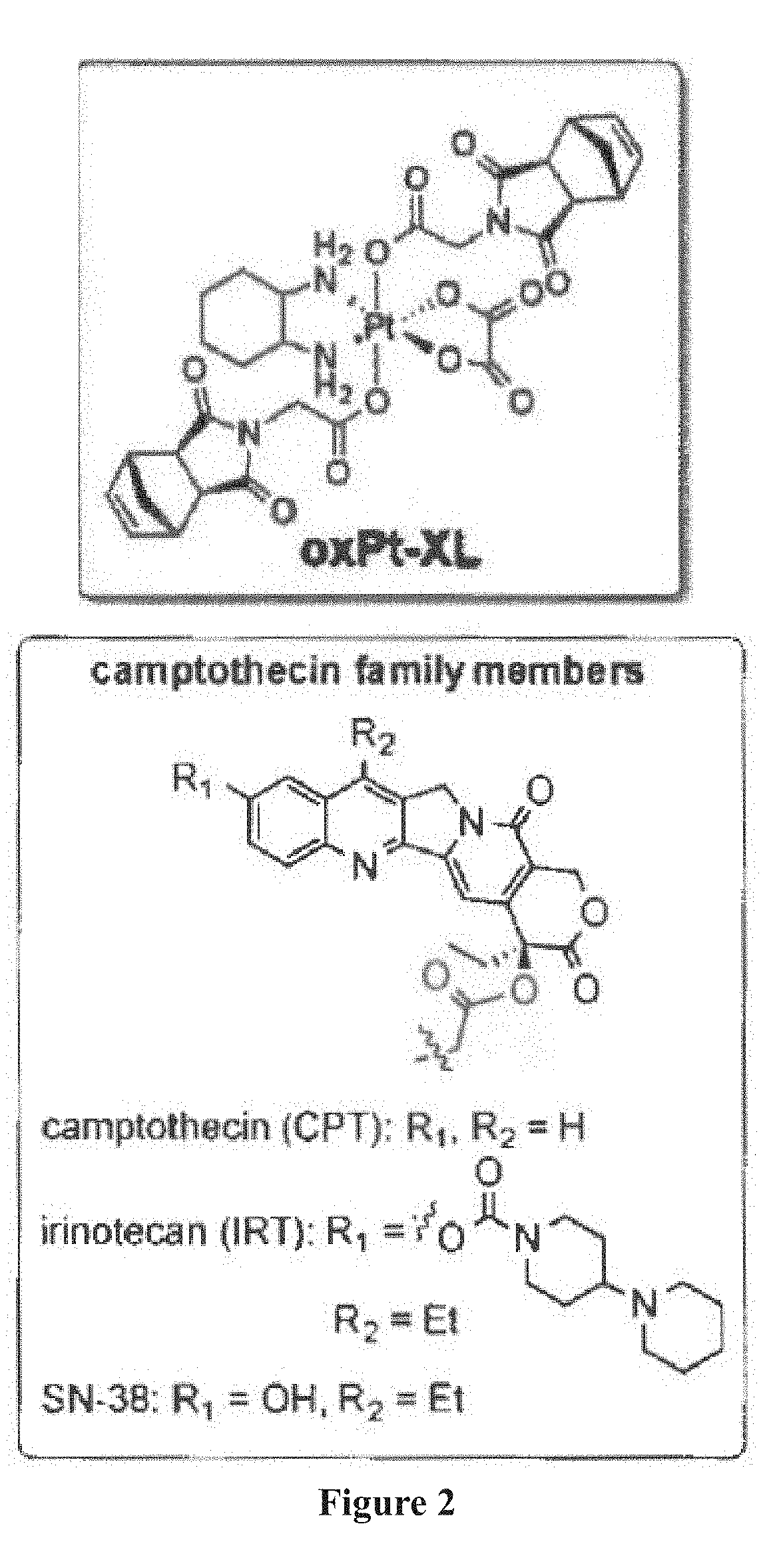 Drug delivery polymers and uses thereof