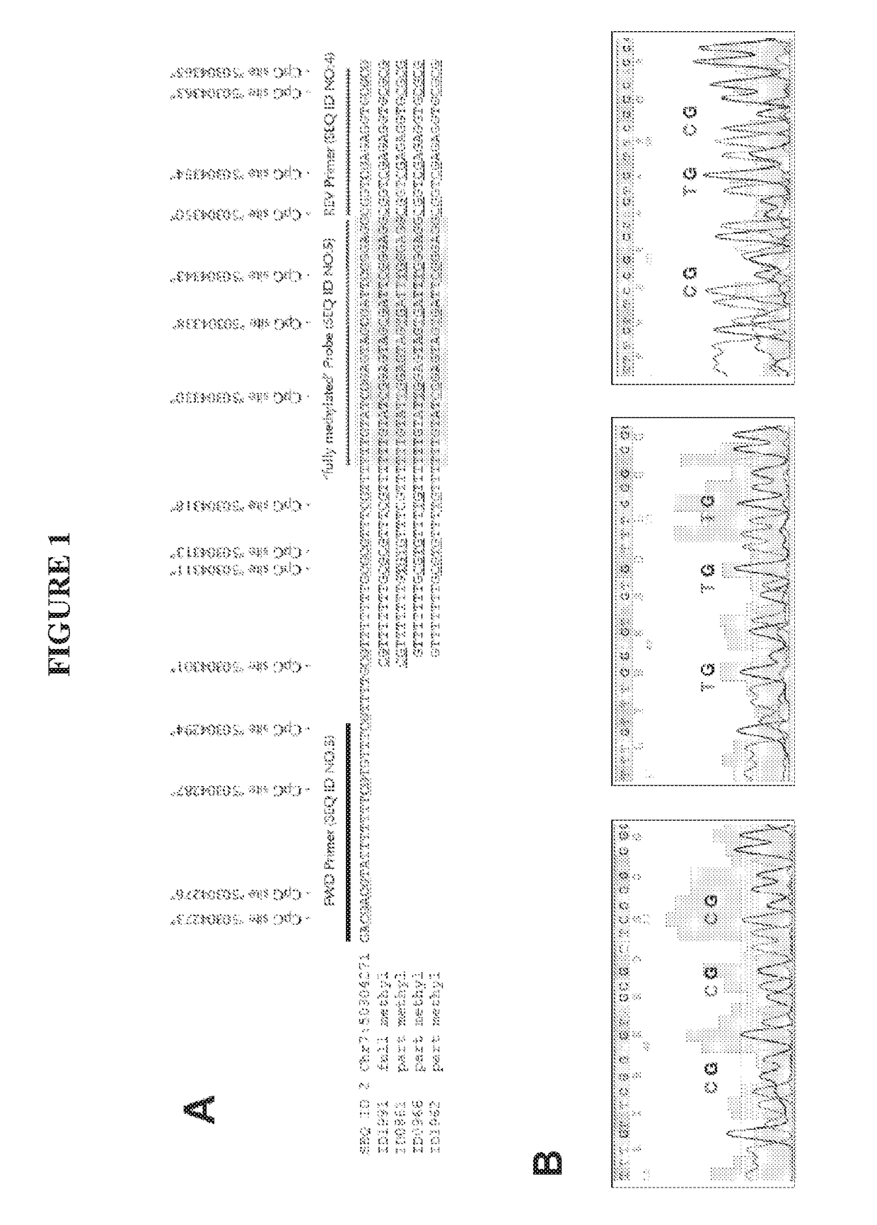 Method for methylation analysis