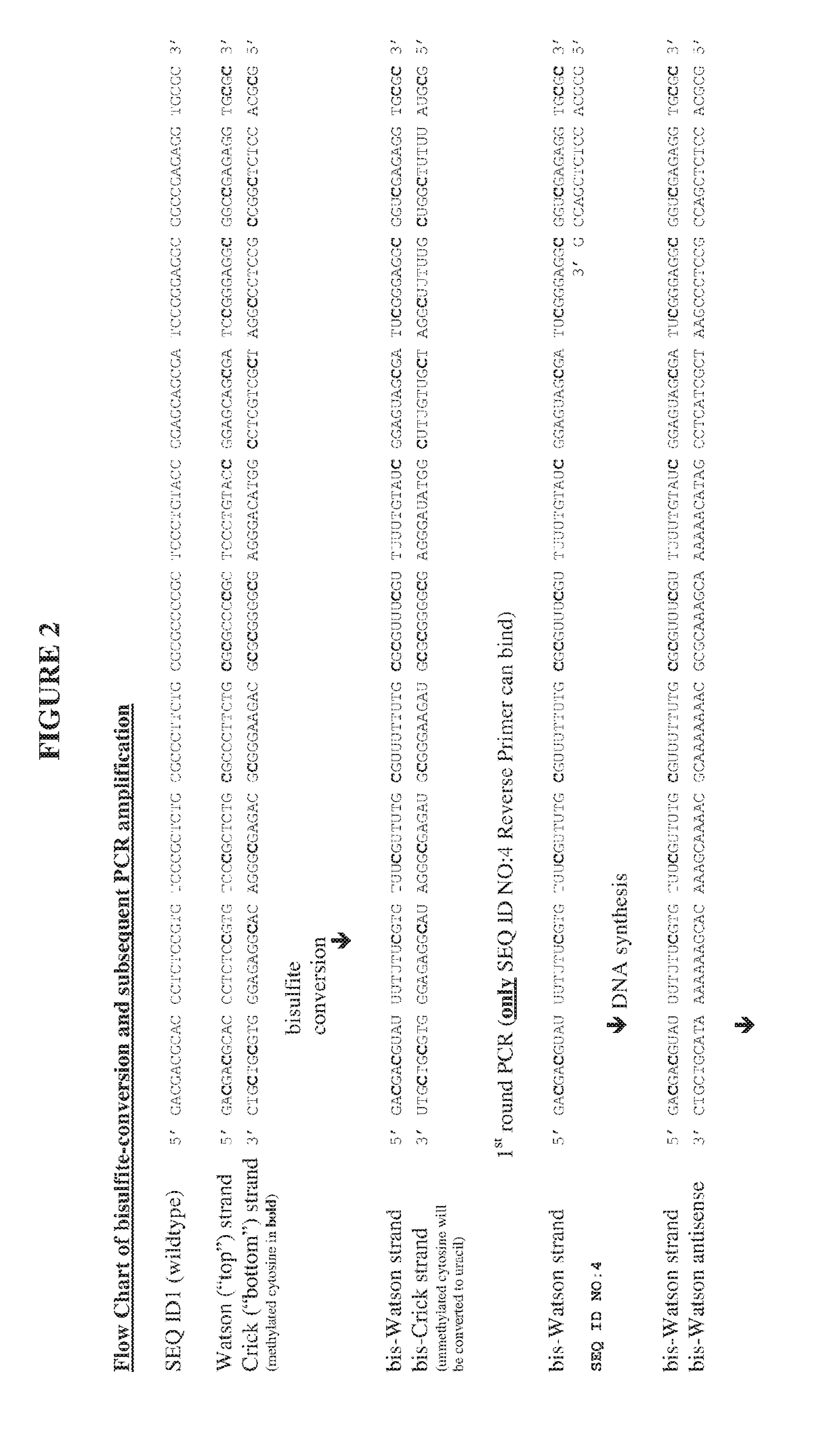 Method for methylation analysis