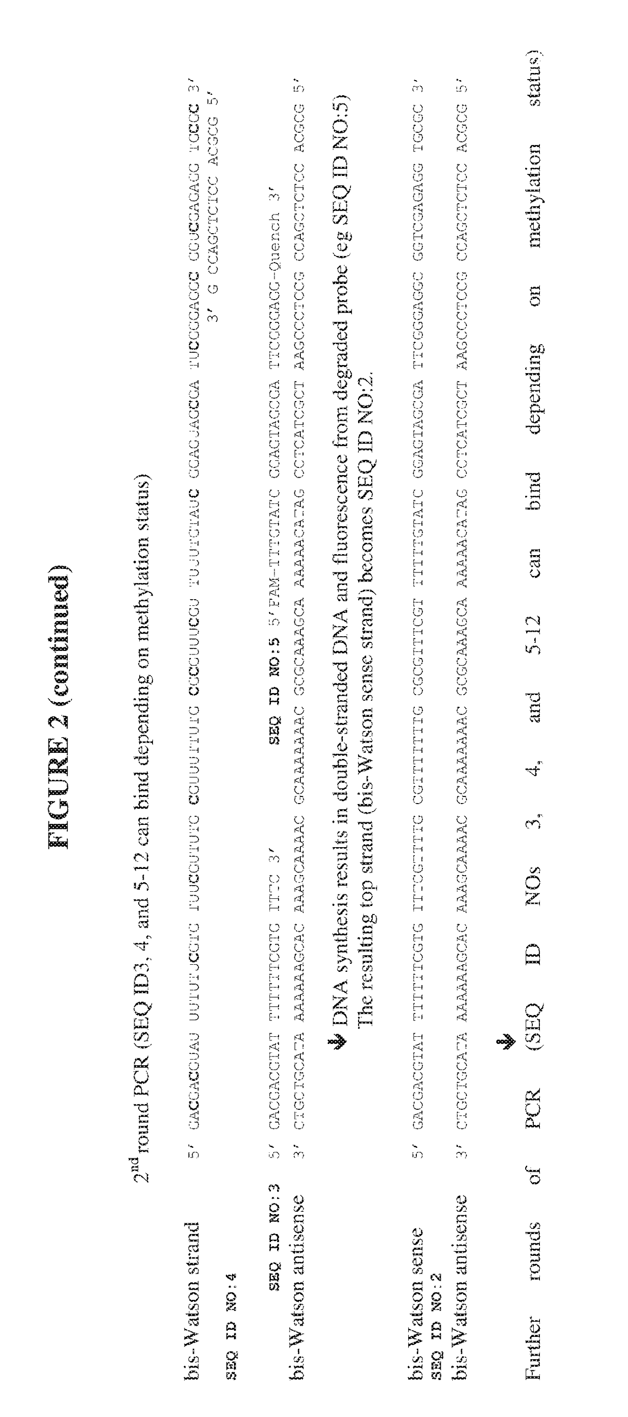 Method for methylation analysis