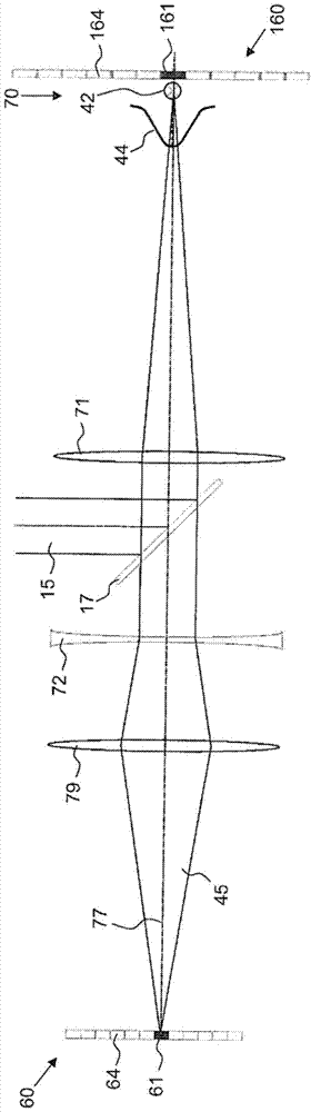 Light Microscopy and Microscopy Methods