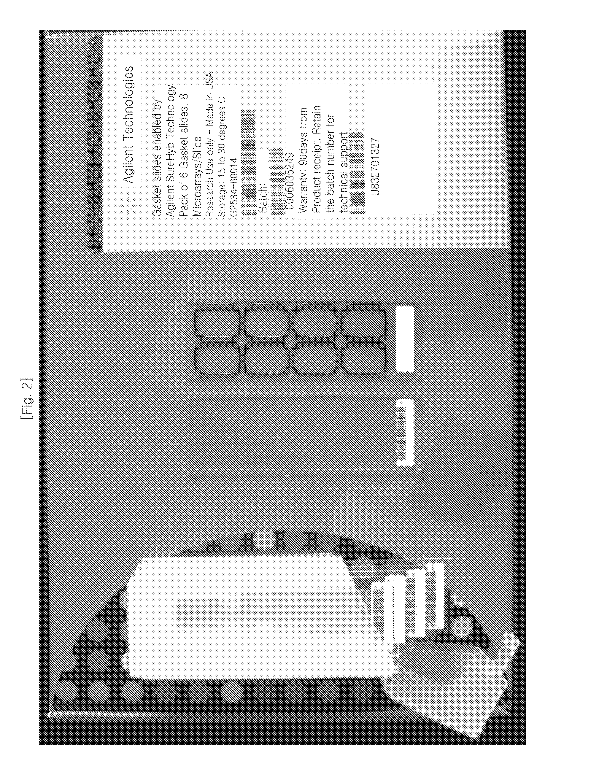 Marker genes for screening of drug-induced toxicity in human cells and screening method using the same