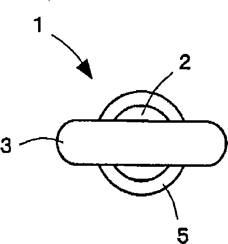 Towing device for vehicle, method of manufacturing towing hook for vehicle, and method of manufacturing connection member for vehicle