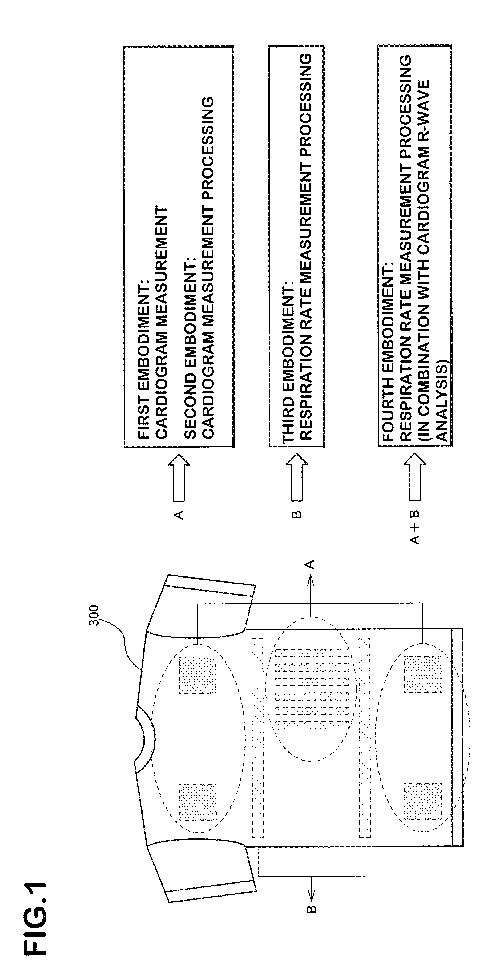 Biological information measuring garment having sensor, biological information measuring system and equipment, and control method of equipment