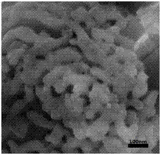 Preparation method of biomass-based nano-silica aerogel