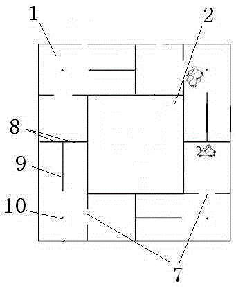 Full-automatic rat maze behavior training system