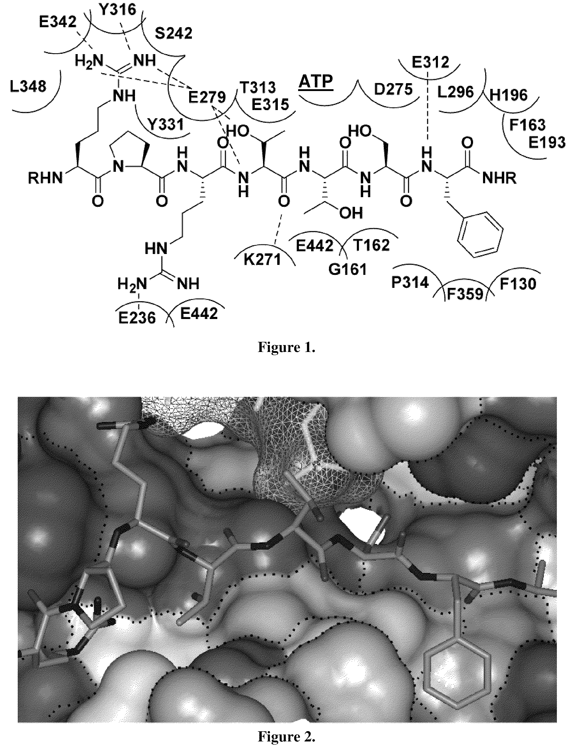 Substrate-mimetic Akt inhibitor