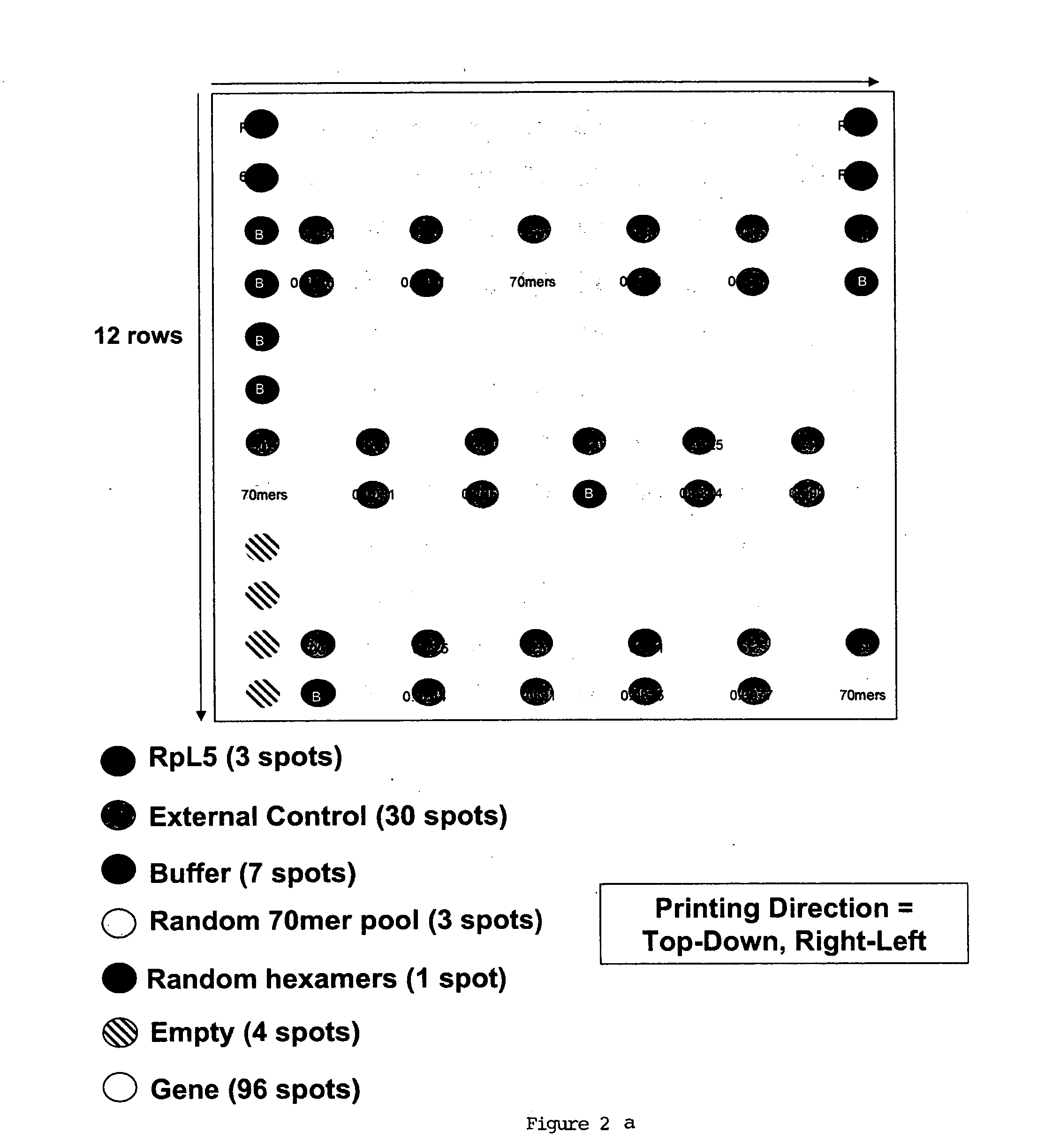 In situ dilution of external controls for use in microarrays