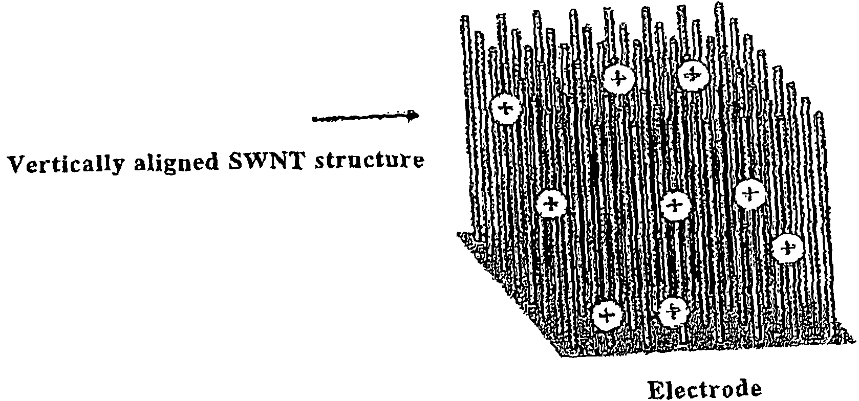 Single-walled carbon nanotube and aligned single-walled carbon nanotube bulk structure, and their production process, production apparatus and application use