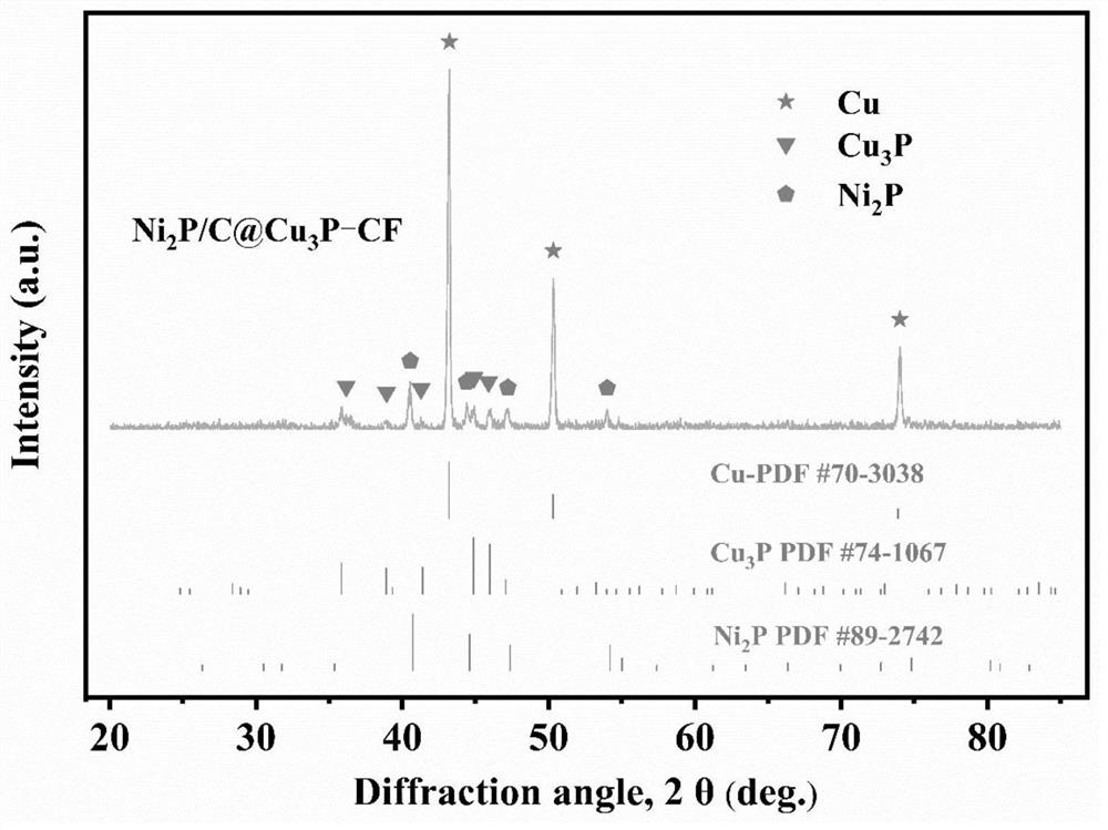 MOF-derived porous metal phosphide nanosheet array and application