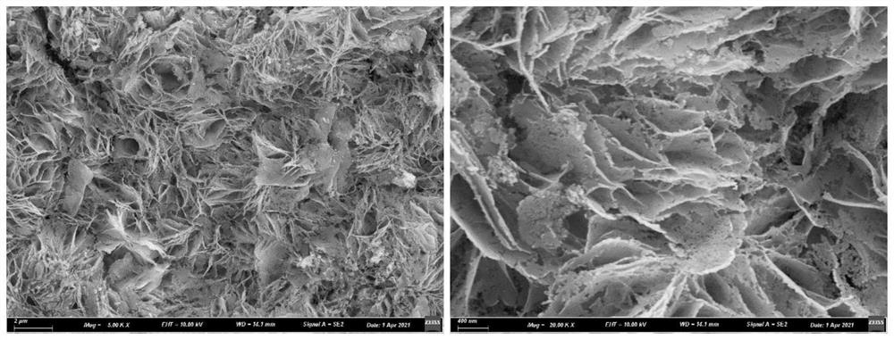 MOF-derived porous metal phosphide nanosheet array and application