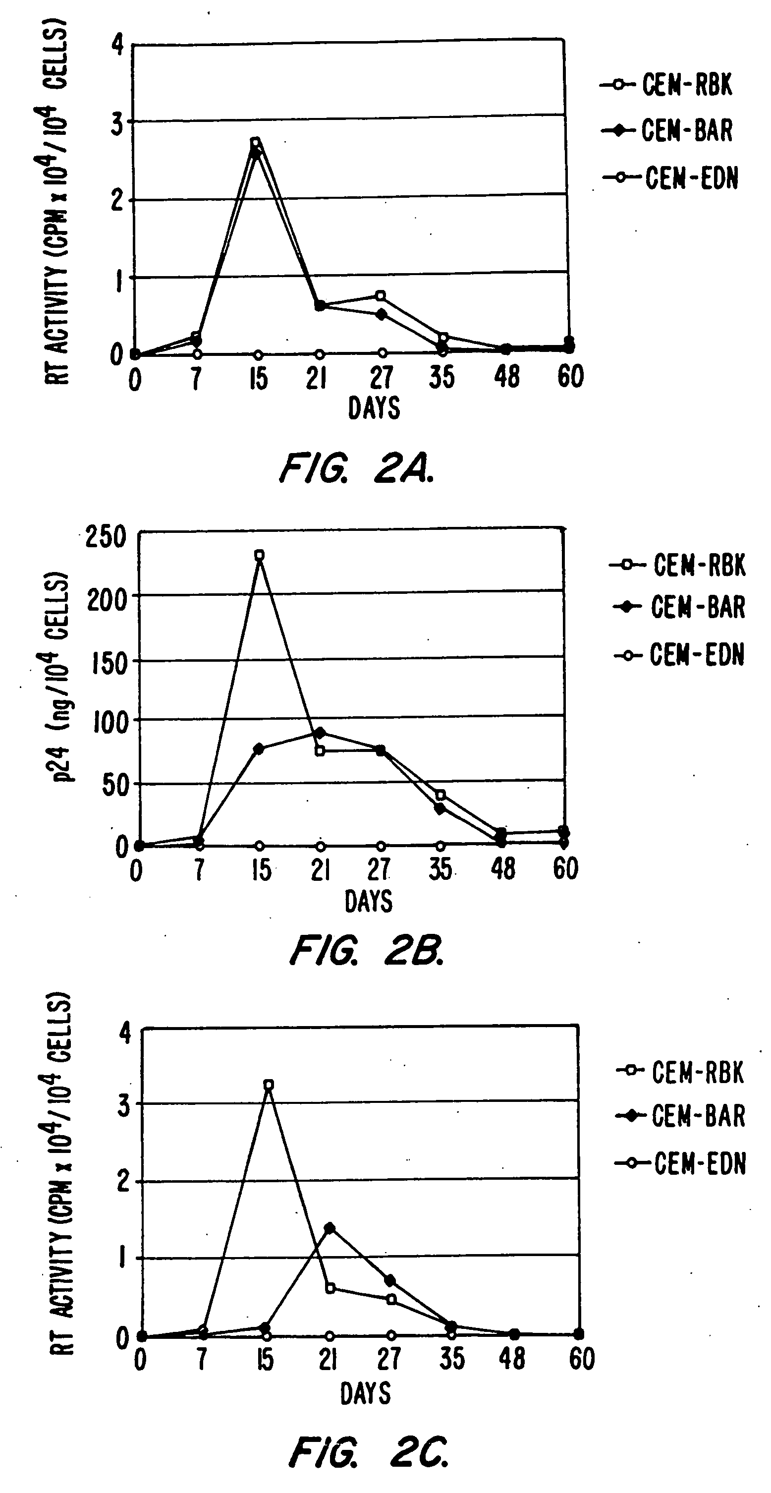 Vectors for delivering viral and oncogenic inhibitors