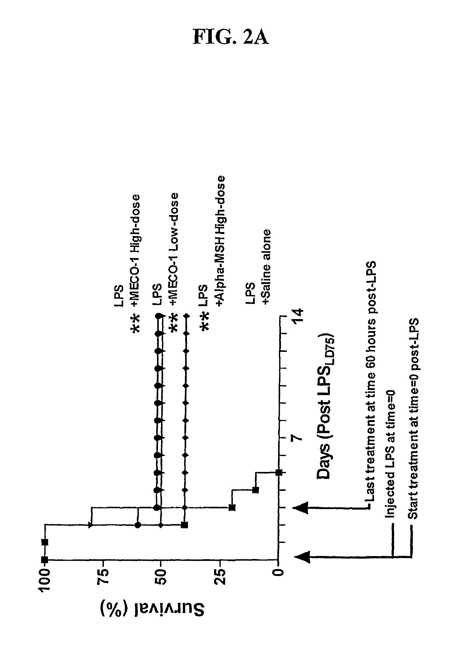 Peptide mimics of melanocyte stimulating hormone