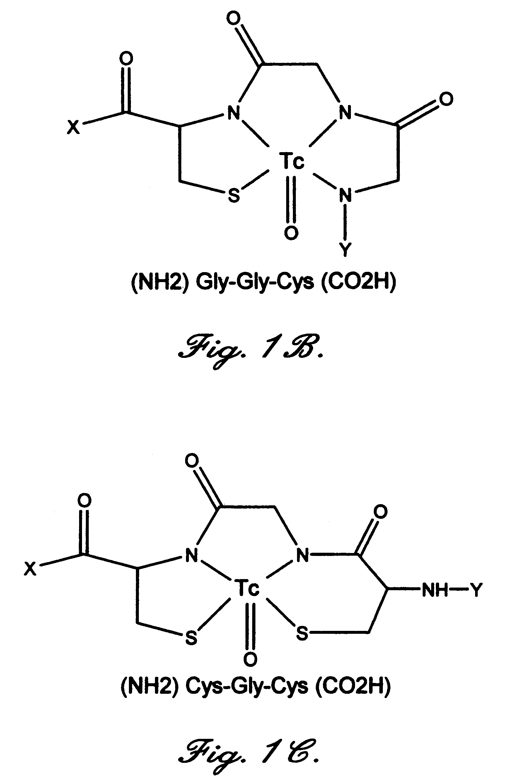 Annexin derivatives with endogenous chelation sites