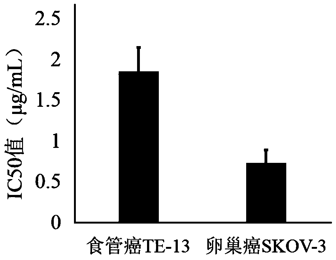 Acanthopanax trifoliatus polysaccharide, preparation method thereof, and application of Acanthopanax trifoliatus polysaccharide in preparation of antitumor drugs