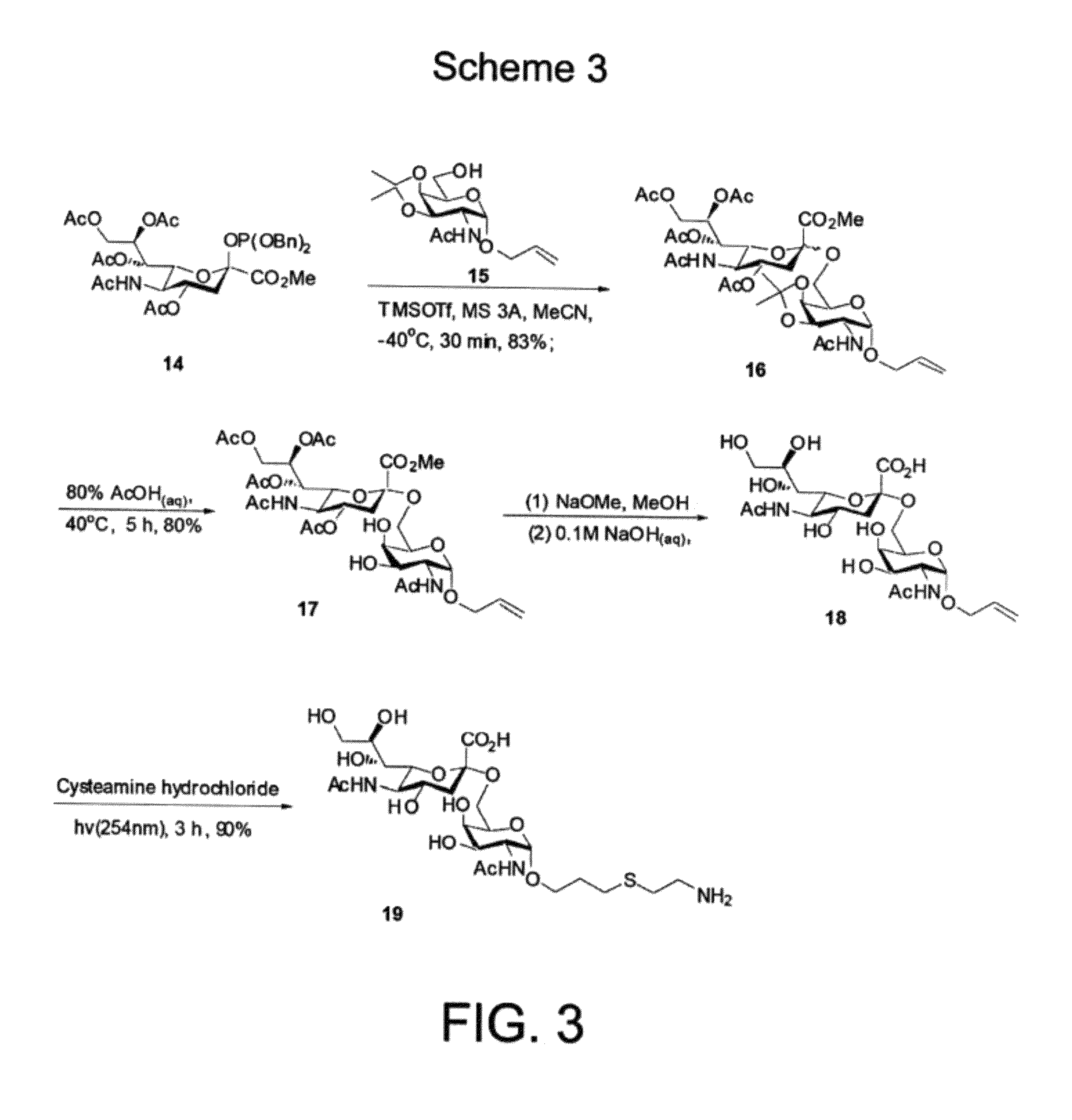 Immunogenic protein carrier containing an antigen presenting cell binding domain and a cysteine-rich domain