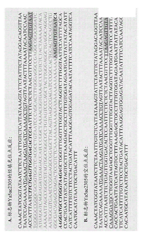 Method for genetic detection using interspersed genetic elements: multiplexed DNA analysis system