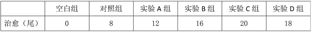 Traditional Chinese medicine composition for preventing and treating hemorrhagic lernaea of crucian